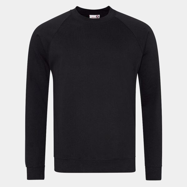 AWDis Academy Senior Raglan Sweatshirt Thumbnail